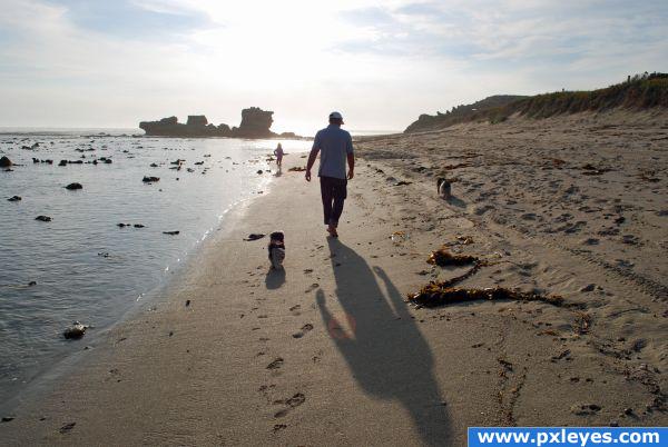 strolling on shelly beach